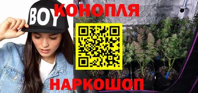 трава Будённовск