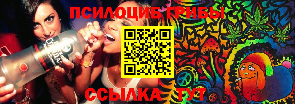 Псилоцибиновые грибы мицелий Пугачёв